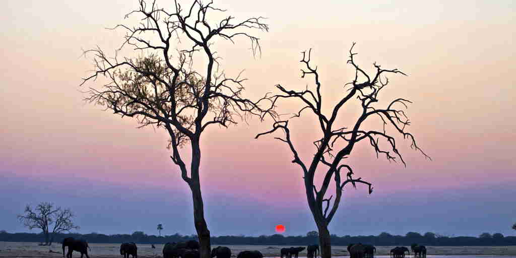 camelthorn lodge sunset, zimbabwe safari holidays