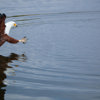 eagle, lake kariba and matusadona national park, zimbabwe