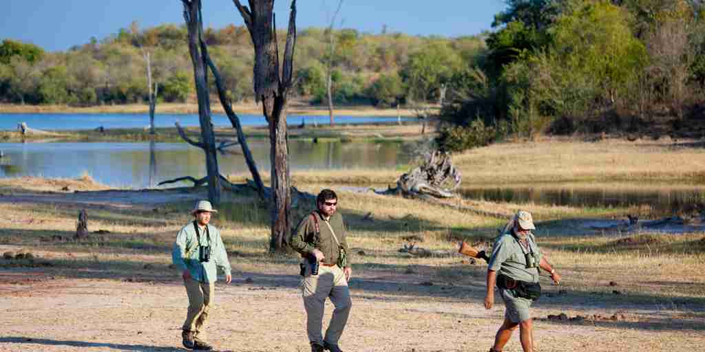 walking safari, lake kariba and matusadona national park, zimbabwe