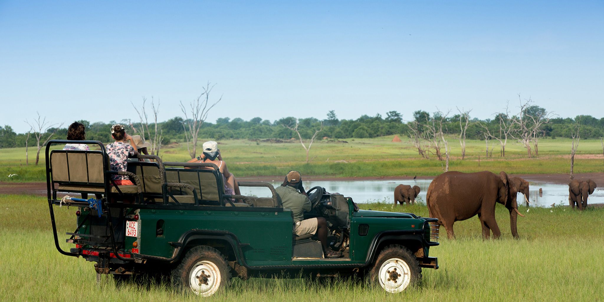 game drive, lake kariba and matusadona national park, zimbabwe