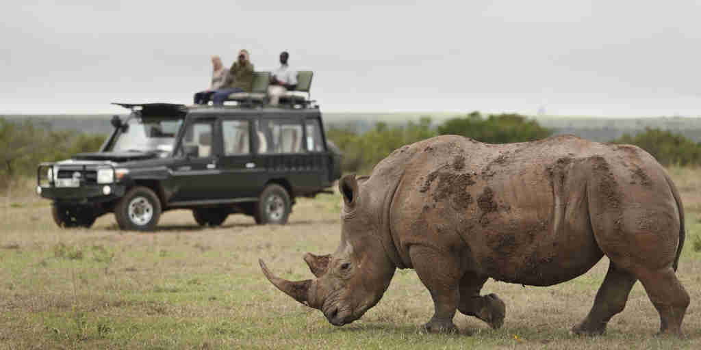 Rhino game drives in Laikipia, Kenya safaris