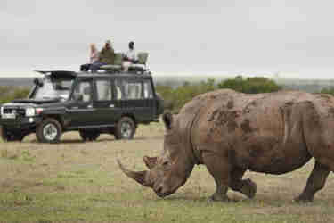 Rhino game drives in Laikipia, Kenya safaris