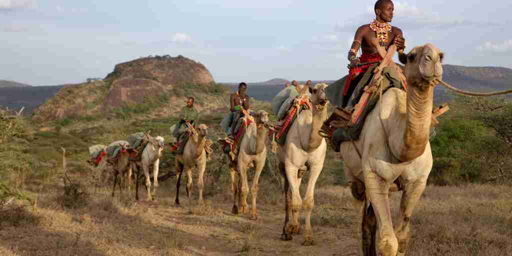 Camel ride safaris in Laikipia, Kenya holidays