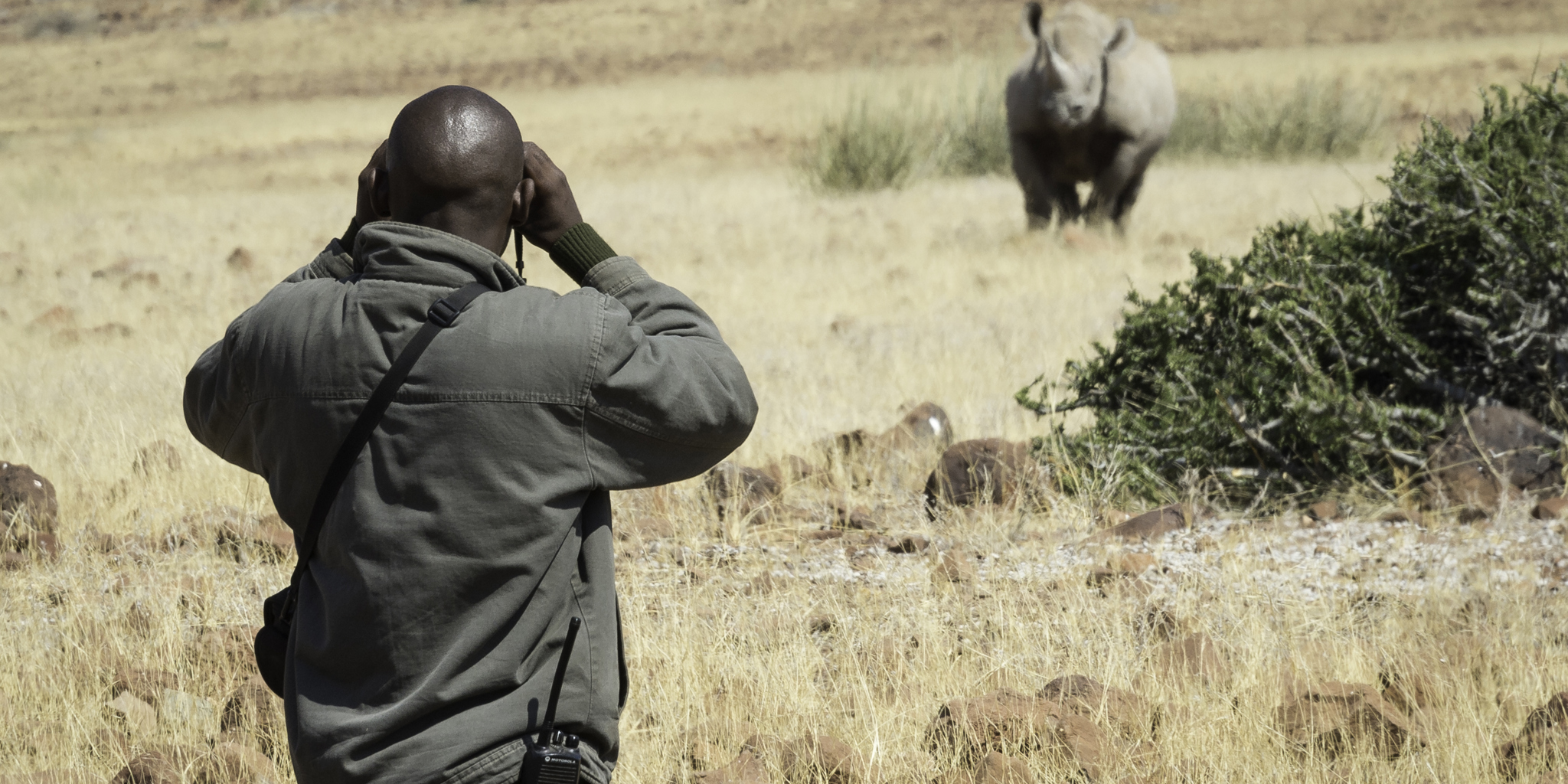 rhino tracking, namibia areas and experiences, africa safaris