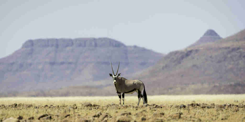 Desert Rhino Camp 2014 08 127