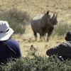 rhino on foot, namibia experiences, africa safaris