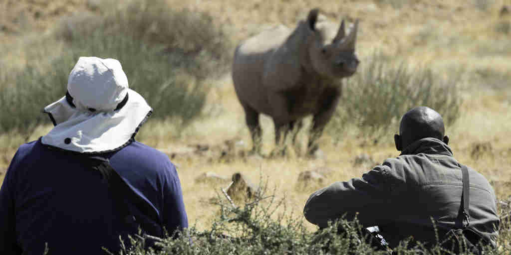 rhino encounter, namibia areas and experiences, africa