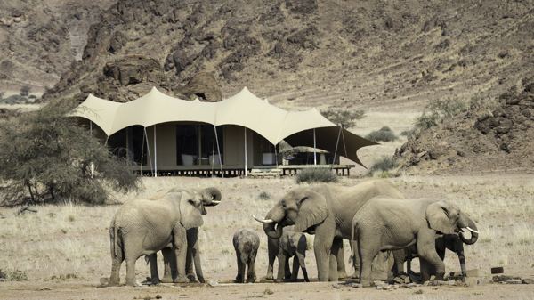 New Desert Safari Camp To Open In Namibia In Partnership, 56% OFF