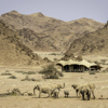 Hoanib Skeleton Coast 2014 08 319