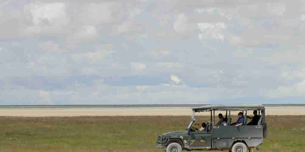 game drives in etosha national park, namibia safaris
