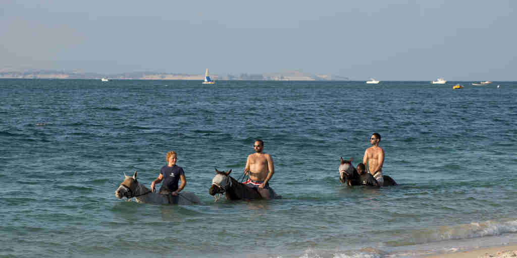 swimming with horses, bazaruto beach, mozambique safari holidays