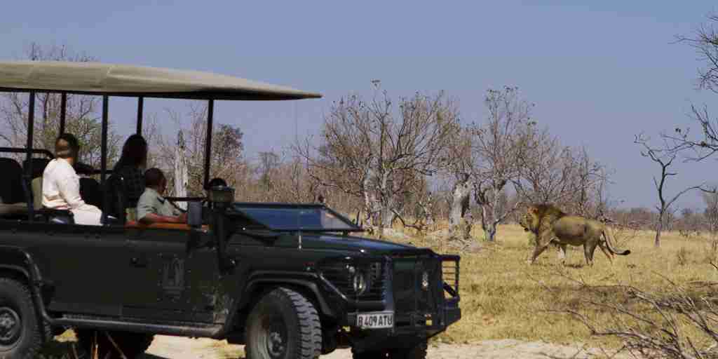 driving safaris, moremi game reserve, africa vacations