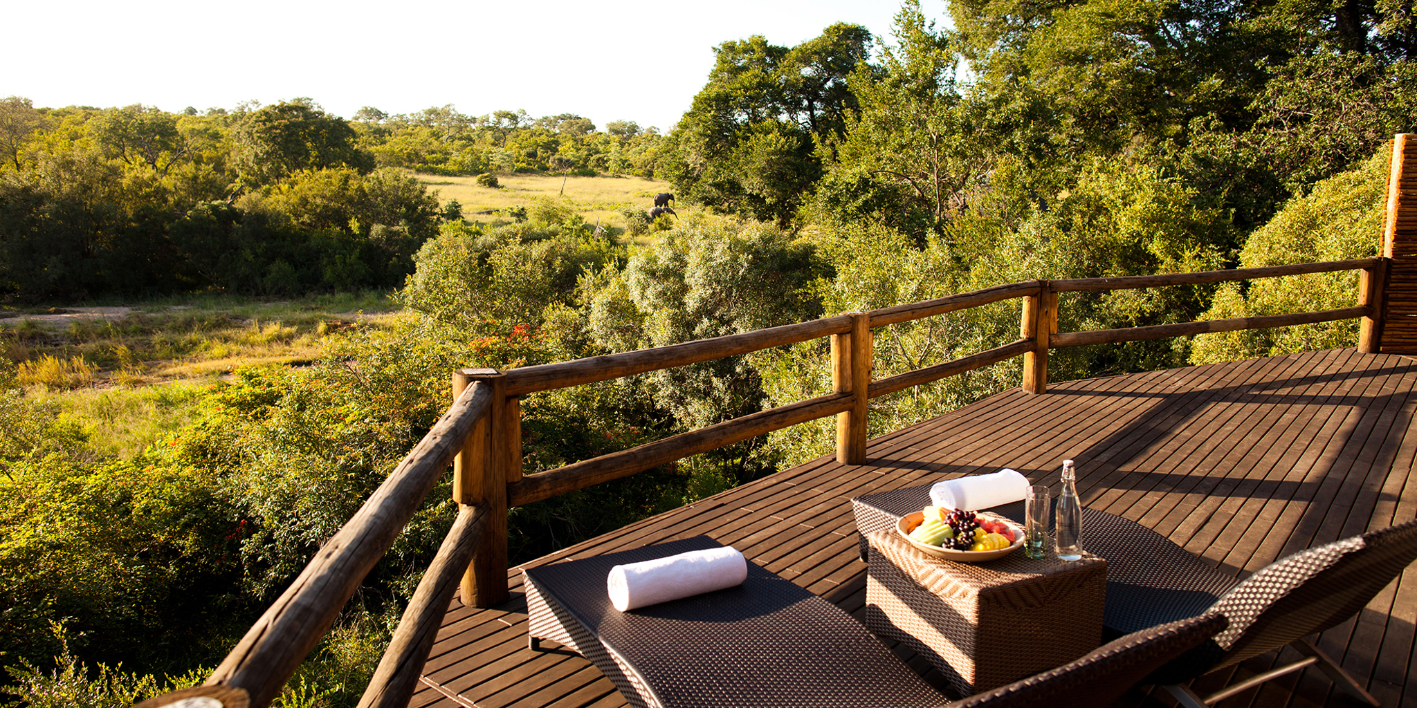 ulusaba elephant room deck