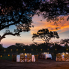 ulusaba bush dinner 2
