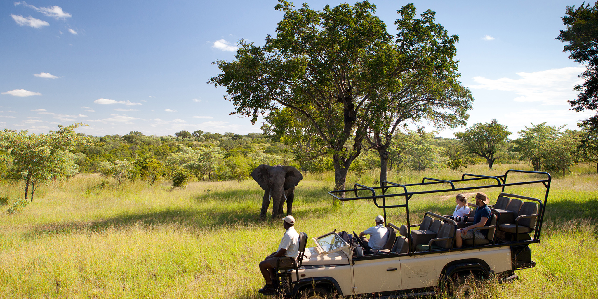 ulusaba game drive