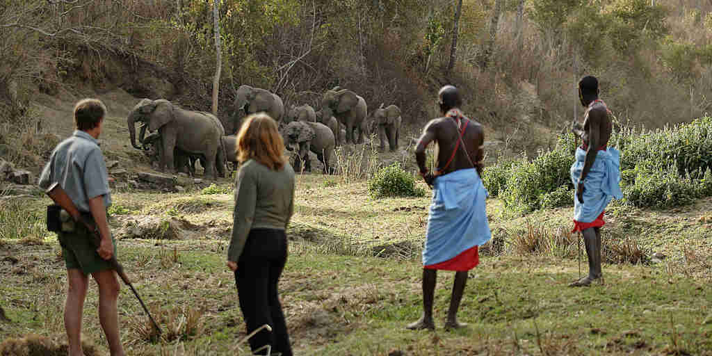 Elephant walking safaris, mathews range, Kenya