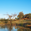 Clubhouse (6)