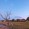 Jamala Madikwe   Vista 2