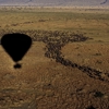 Hot air ballooning, The Serengeti, Tanzania