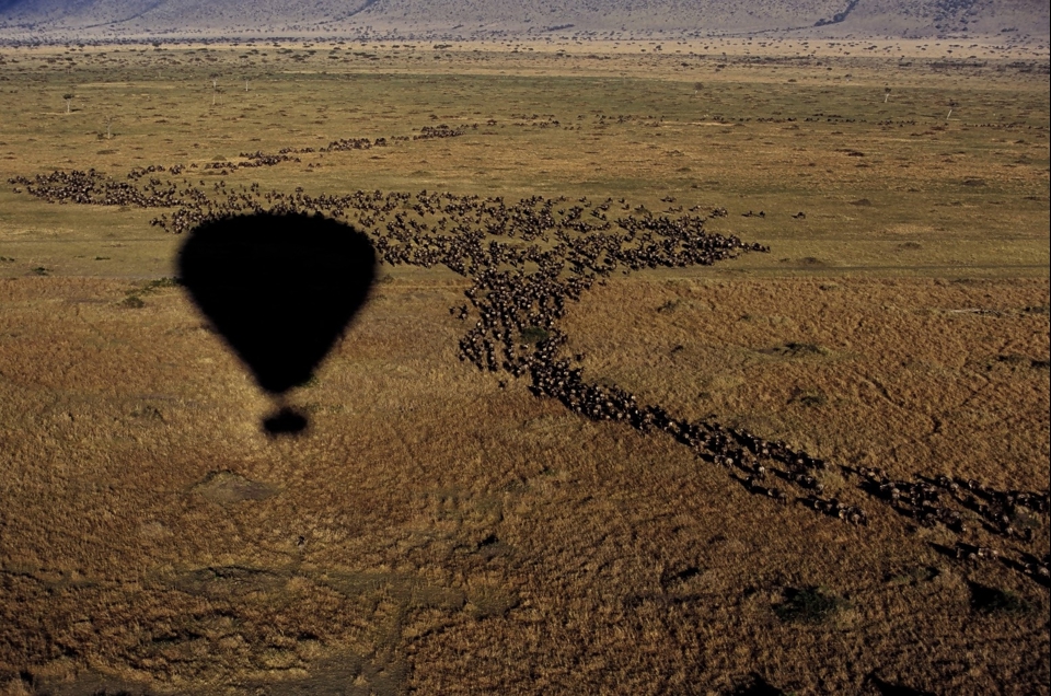 Hot air ballooning, The Serengeti, Tanzania