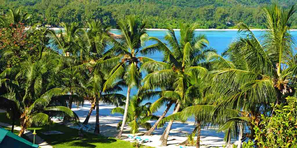 beach palms garden, praslin island, seychelles, africa safaris