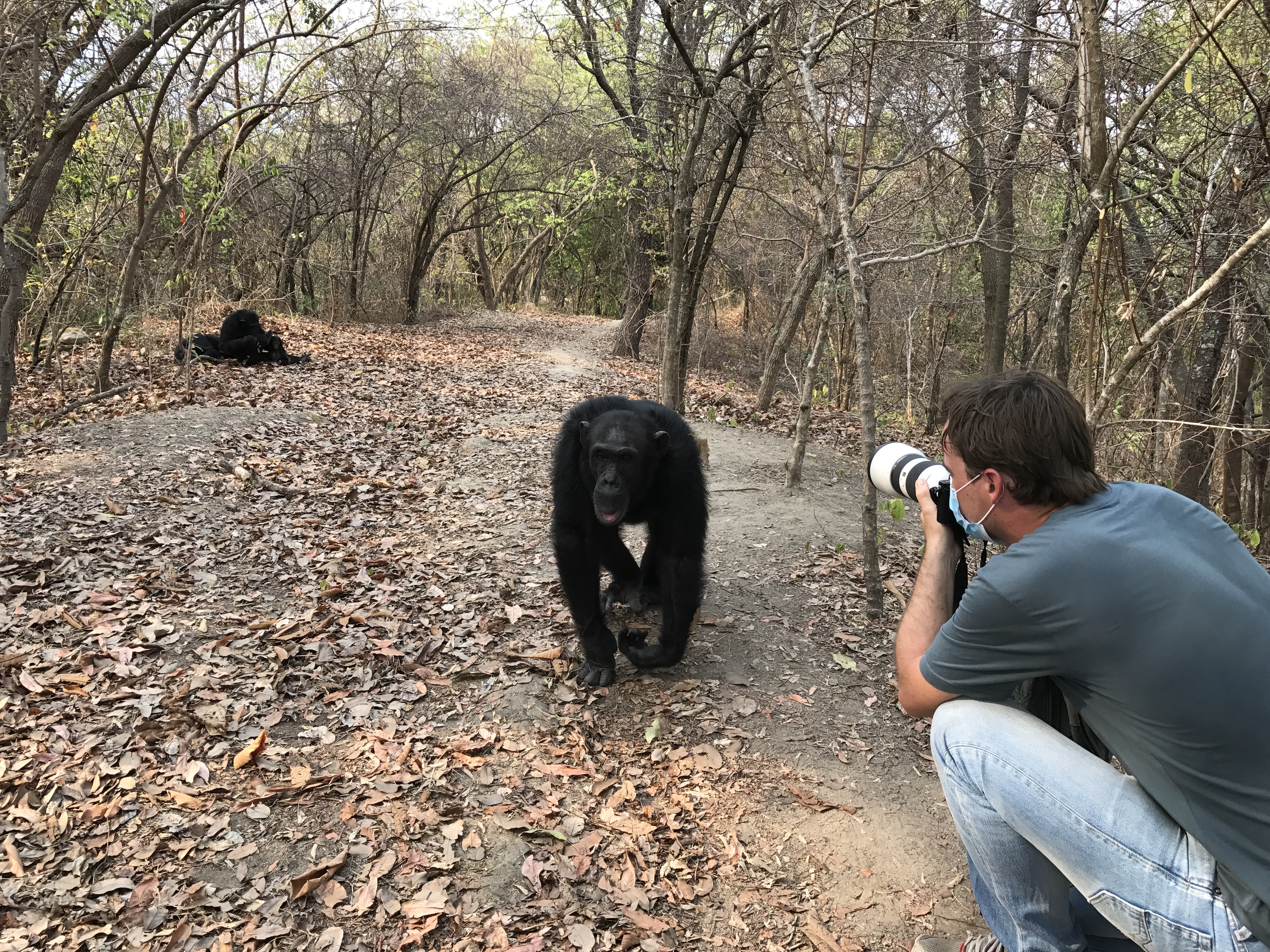 Wies, Chimpanzee Trekking, Meet the Team