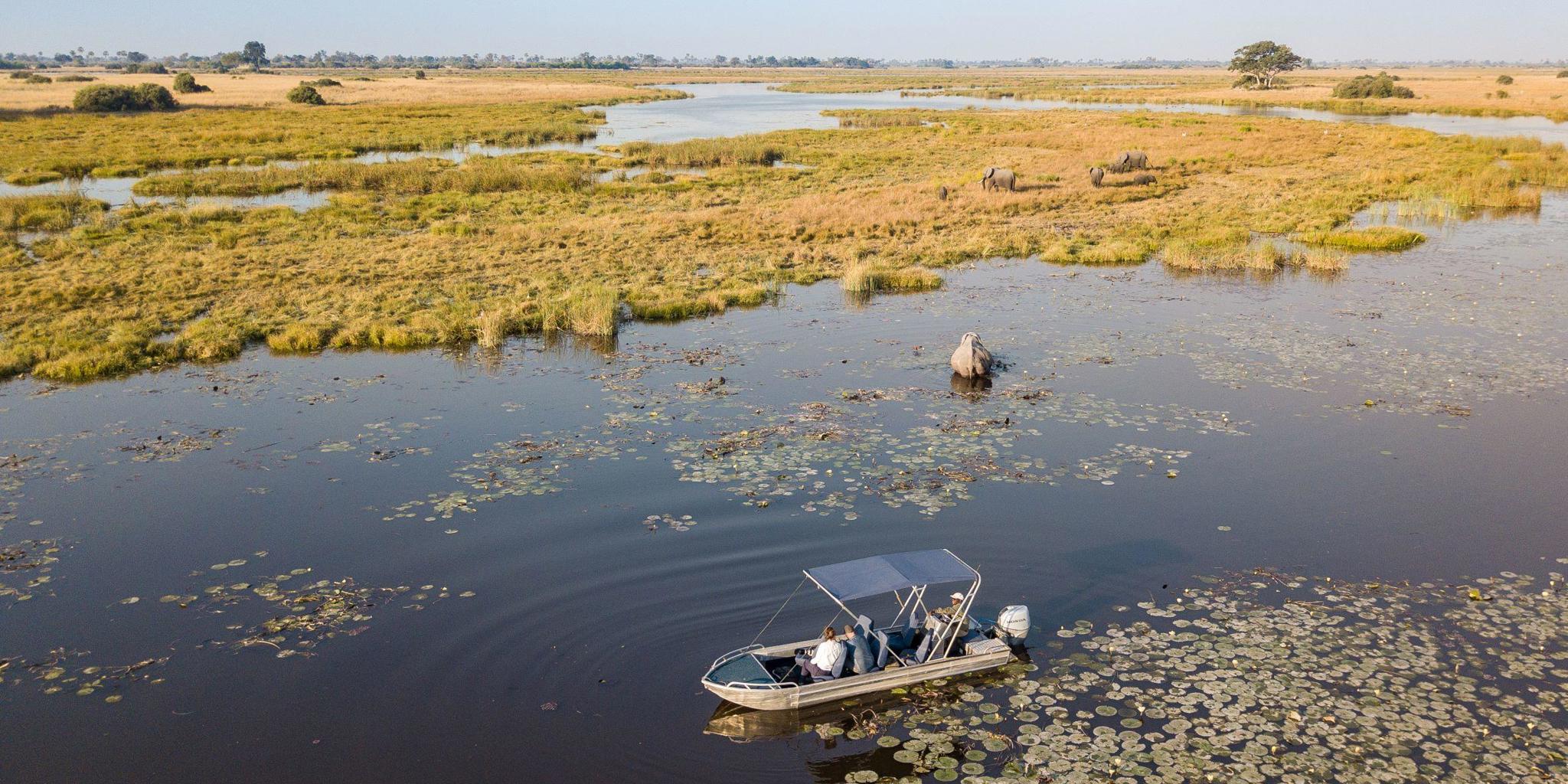 Boating, Zarafa Camp, Okavango Delta, Botswana
