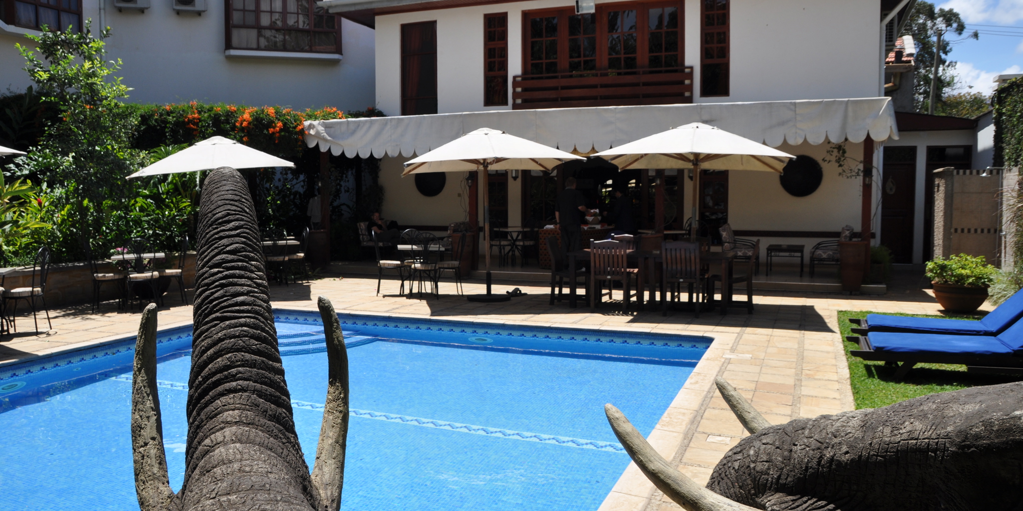 Serengeti Pool Bar