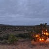 bush lantern dinner, kwande game reserve, south africa