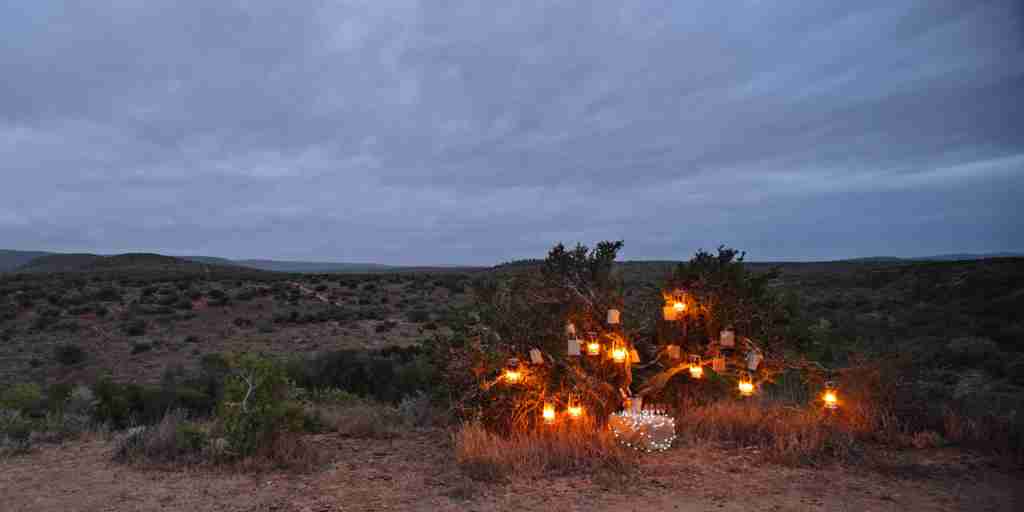 bush lantern dinner, kwande game reserve, south africa