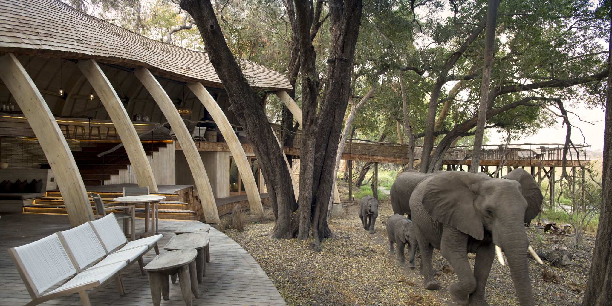 sandibe safari lodge in botswana