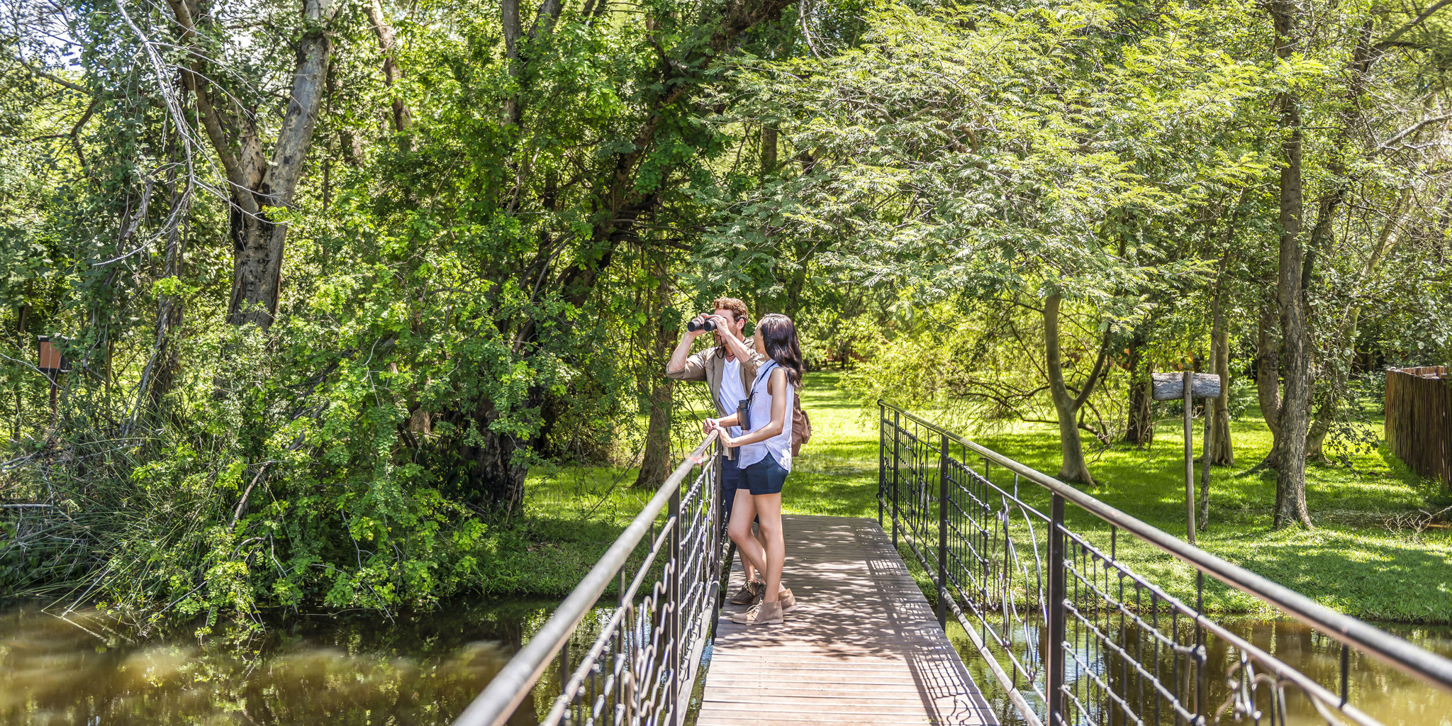 VVIC BirdWatching Bridge Lifestyle G A H