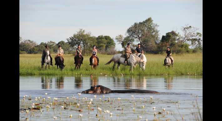 Horseback Safaris, Macatoo Camp, Okavango Delta, Botswana