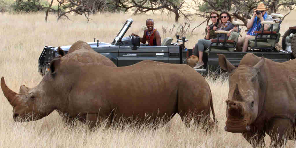 Rhino safaris in Lewa borana landscape, Kenya