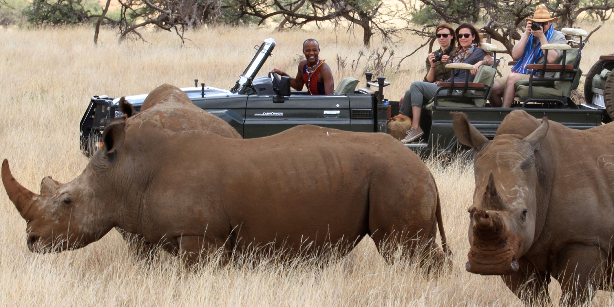 Rhino safaris in Lewa borana landscape, Kenya