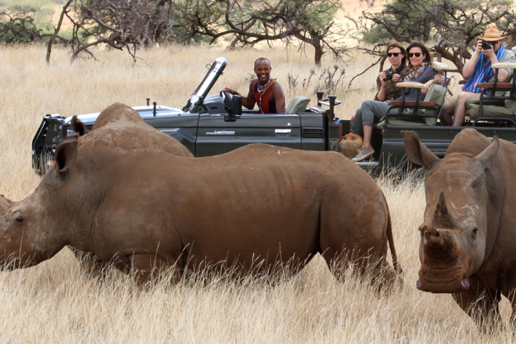 Rhino safaris in Lewa borana landscape, Kenya