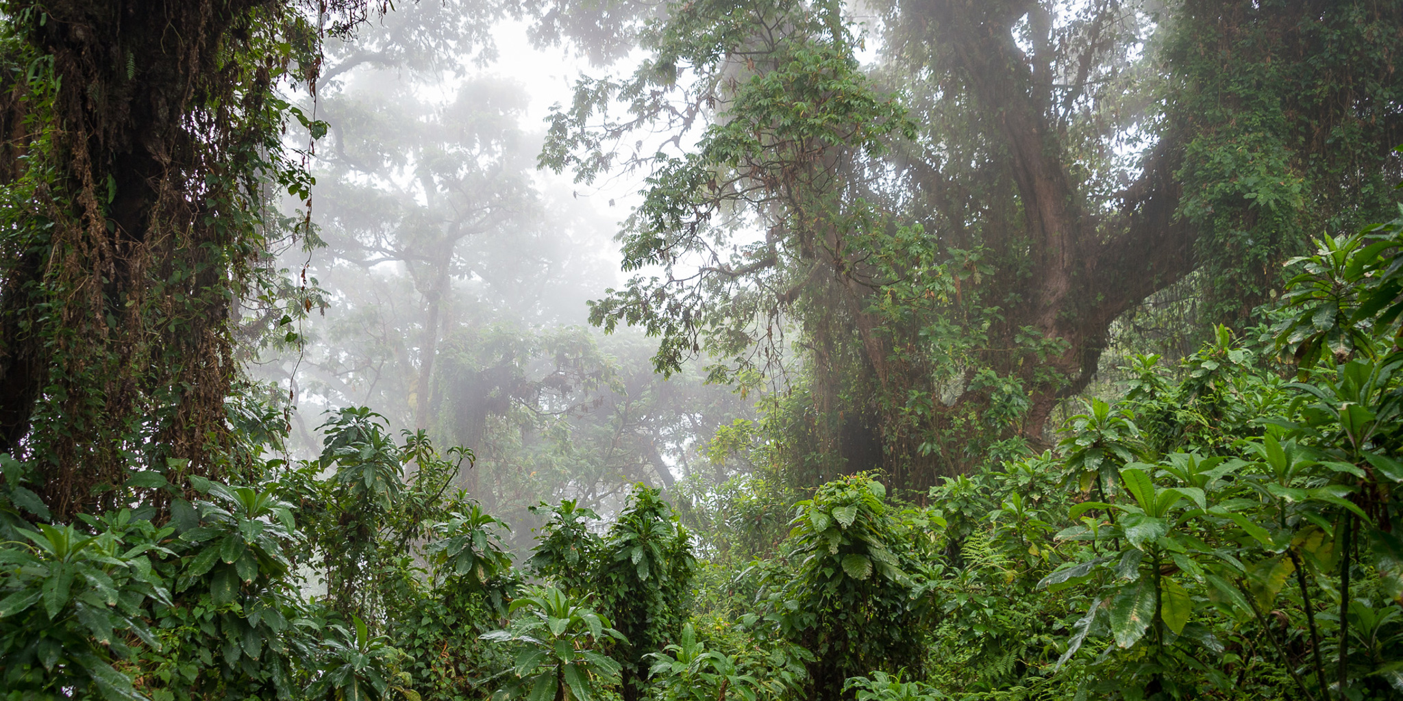 rwanda 349e