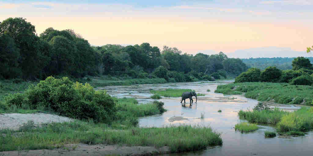 elephant in river kiara