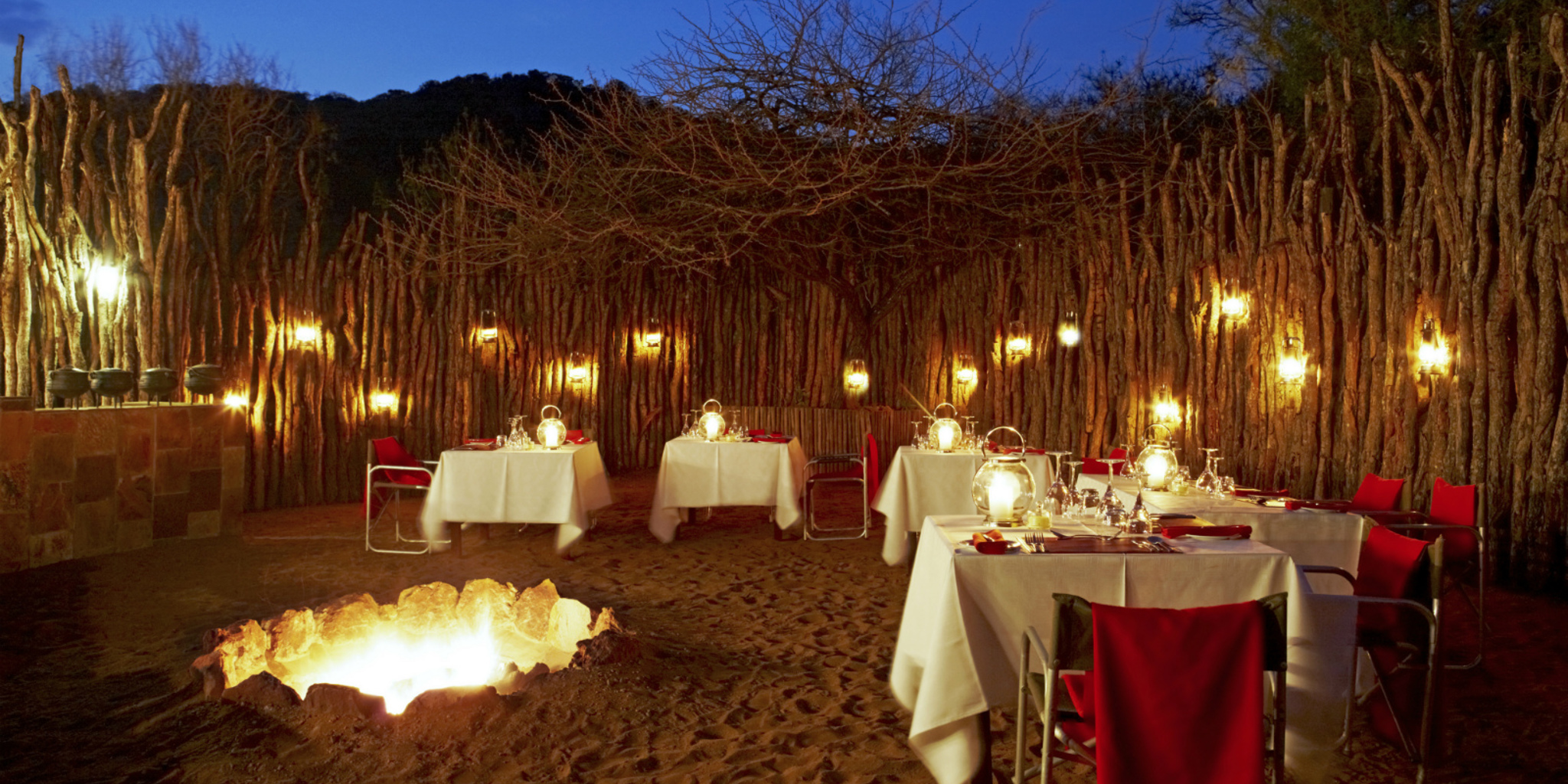 dinner safari african restaurant opinie