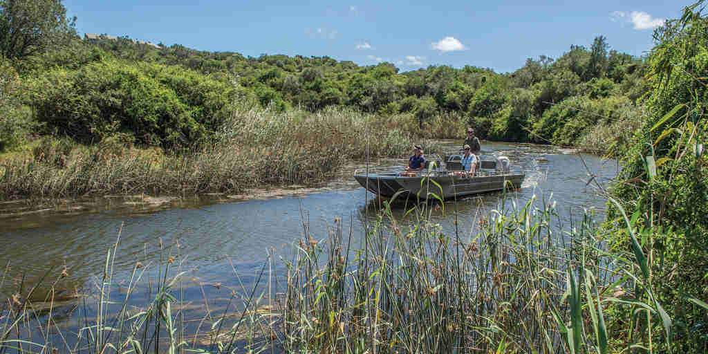 boat safaris, kariega game reserve, south africa