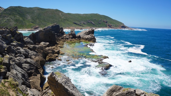 coast, plattenberg bay, south africa safaris