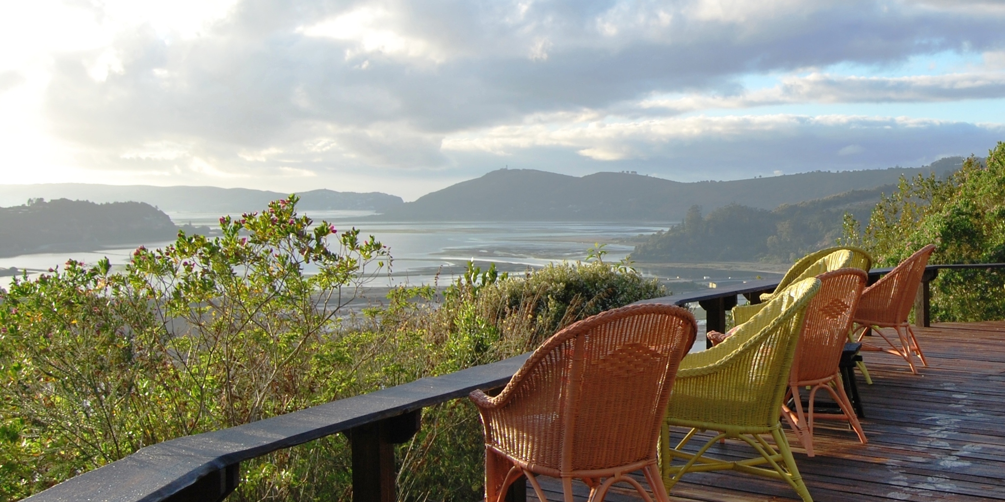 view of phantom forest, knysna, south africa safaris