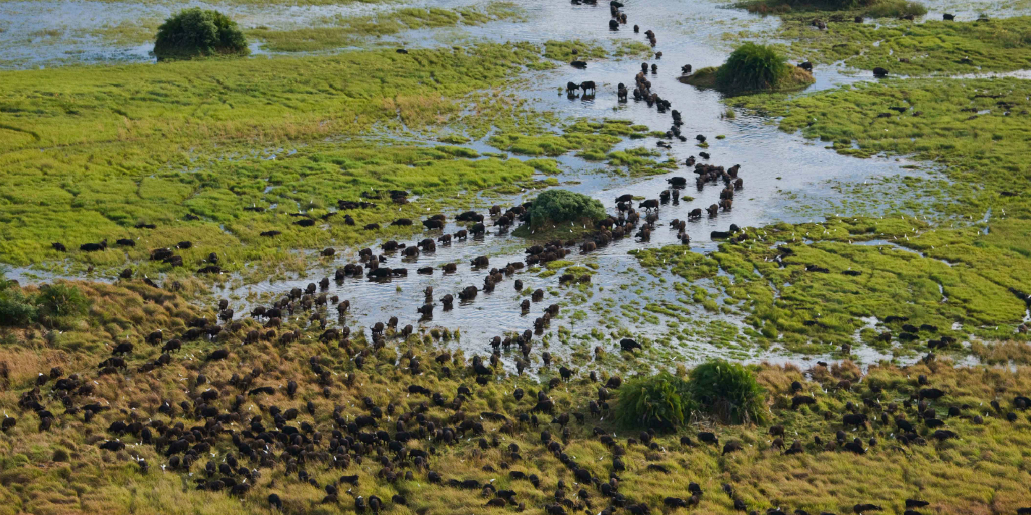 DUBA landscape02