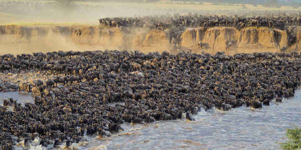 great migration, multi country safaris, africa vacations