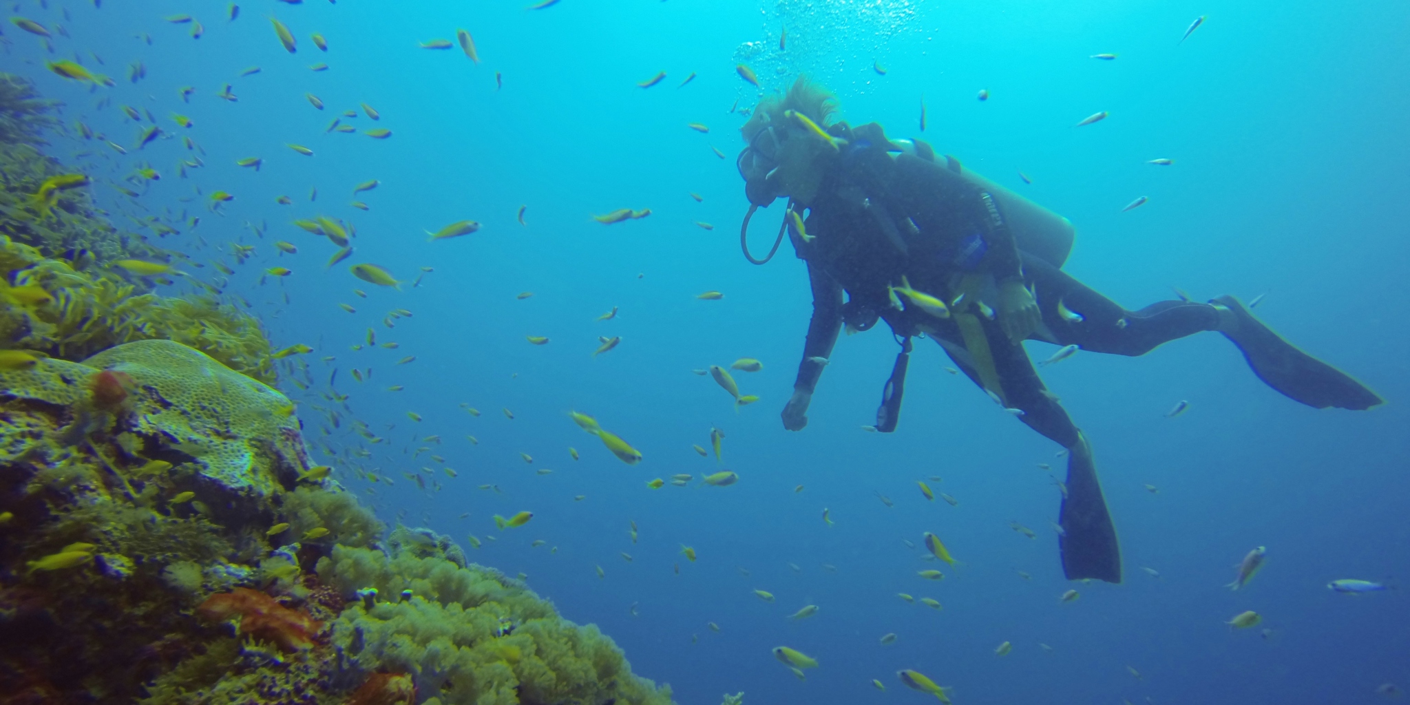 Scuba diving, southern Tanzania, Africa safaris