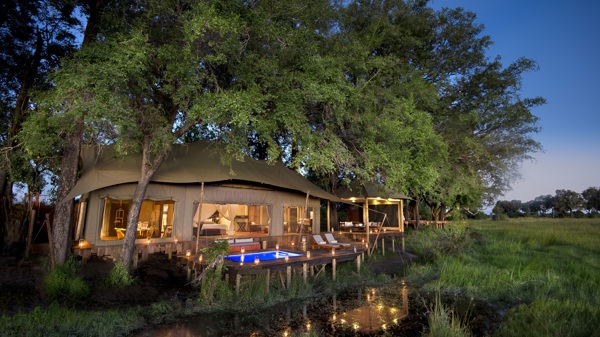 dubaplains guesttent privatepoolnight
