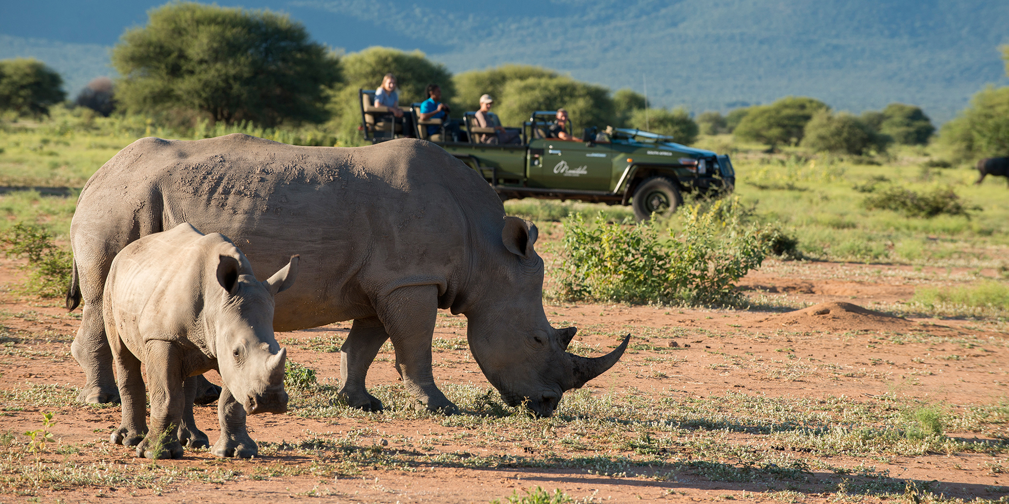 rhino safaris, marakele national park, south africa 