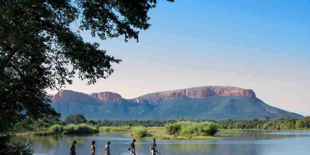 walking safaris, marakele national park, south africa 