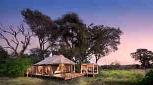 andBeyond Nxabega Okavango Tented Camp Tented Suite7