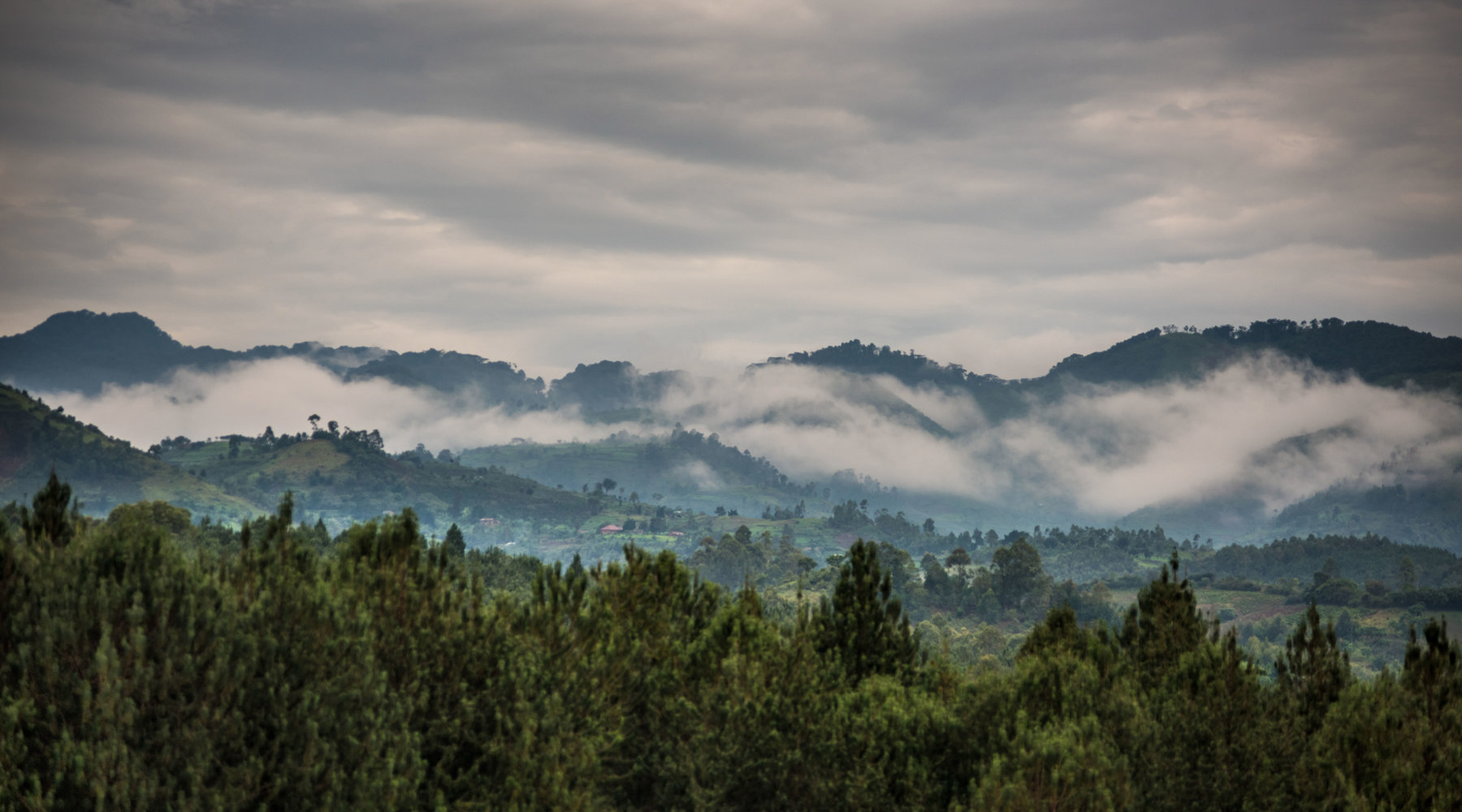 Bwindi landscape